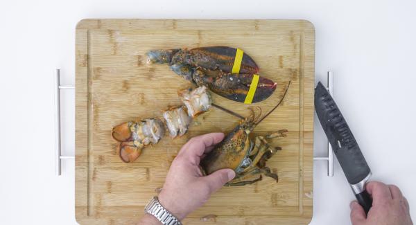 Tritare finemente le verdure nel Tritamix. Tagliare l’aragosta in pezzi come mostrato nelle foto, con un coltello adatto.