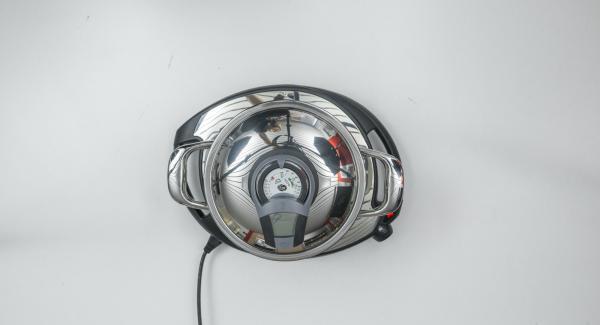 Posizionare l'Unità su Navigenio impostato a livello 6. Con l'ausilio di Audiotherm riscaldare fino alla finestra "carne". Posizionare l'Unità su Navigenio impostato a livello 6. Con l'ausilio di Audiotherm riscaldare fino alla finestra "carne".