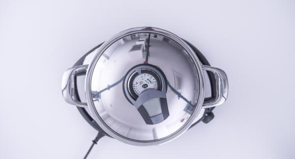 Posizionare l'Unità su Navigenio impostato a livello 6. Con l'ausilio di Audiotherm riscaldare fino alla finestra "carne".