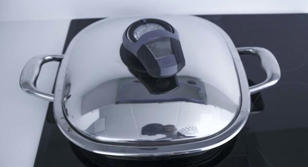 Al suono di Audiotherm,  togliere il coperchio, voltare i limoni, richiudere e impostare nuovamente Audiotherm sulla finestra “carne”. Al suono di Audiotherm,  togliere il coperchio, voltare i limoni, richiudere e impostare nuovamente Audiotherm sulla finestra “carne”.